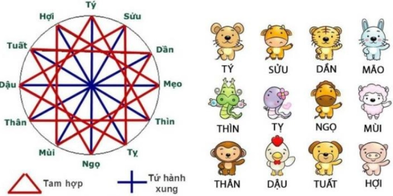 Năm Tuổi Có Xấu Không? Góc Nhìn Mới Về “Tuổi Hạn” Và Vận Mệnh 4 Năm Tuổi Có Xấu Không