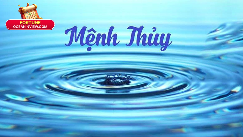 Mệnh Thủy Là Gì? Giải Mã Vận Mệnh Và Phong Thủy 2025 4 Ứng dụng mệnh Thủy trong chọn nghề, đối tác, phong thủy văn phòng