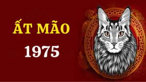 Vận hạn tuổi Ất Mão 2025 theo từng khía cạnh cuộc sống