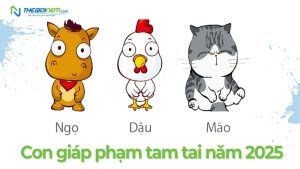 Tổng quan về hạn Thái Tuế xung (Mão - Tỵ)