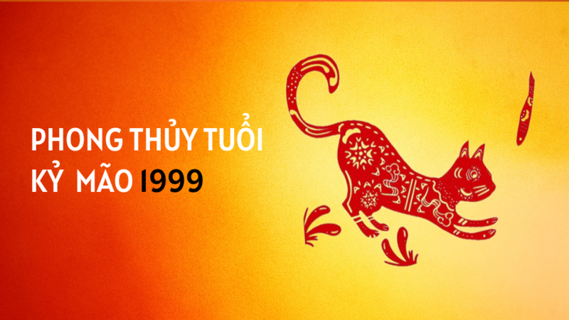 Ứng dụng thực tế cho Kỷ Mão 1999: phong thủy nhà ở