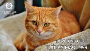 Tổng quan về người Kỷ Mão 1999 và mối liên hệ với pháp lý