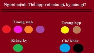 Tổng quan bản mệnh Kỷ Mão 1999 và mối quan hệ ngũ hành