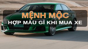 Tổng quan về mệnh Mộc và ngũ hành năm 2025