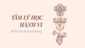 Khái niệm cơ bản về tâm lý học vận hạn