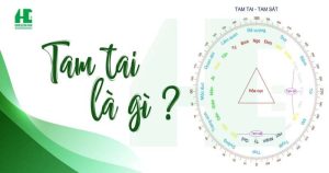 Tam Tai cuối (Năm thứ 3) — tổng quan và tác động chính