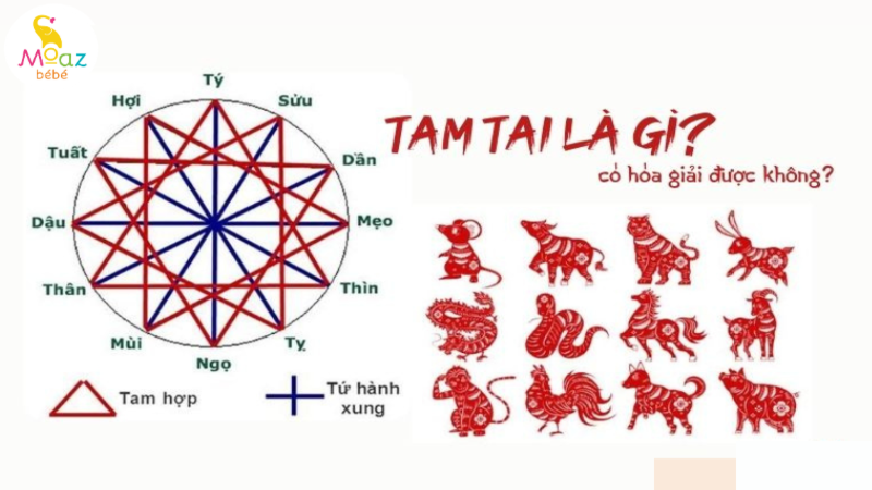 Tam Tai Cuối Năm Thứ 3 Và Khởi Sự Làm Ăn 3 Cách hóa giải Tam Tai cuối trước khi khởi sự làm ăn